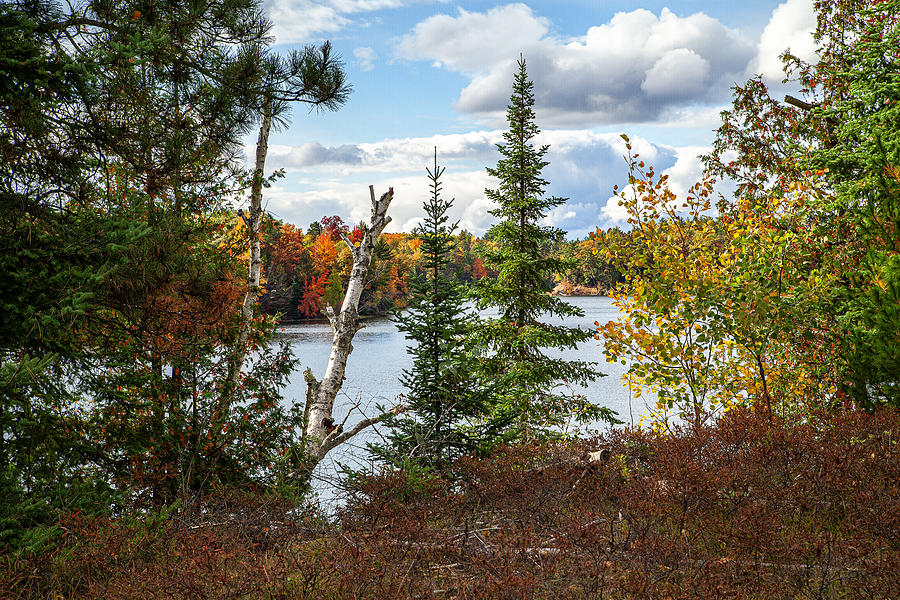 Cooke Dam Pond Photograph by Jeffrey Holbrook - Fine Art America