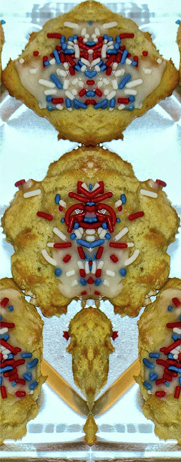Cookie 1 Pareidolia Photograph by Constantine Gregory