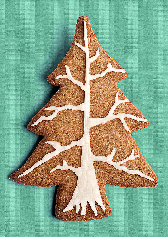 Cookie shaped as a Christmas tree with branches Photograph by Paper Boat Creative