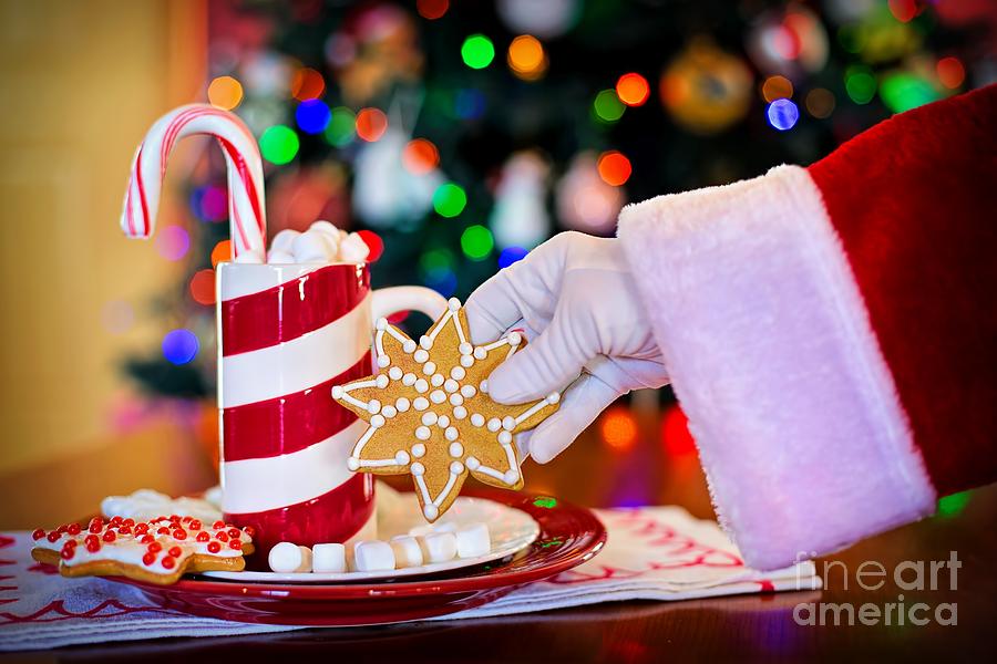 Santa Claus Photograph - Cookies for Santa by Alice Terrill