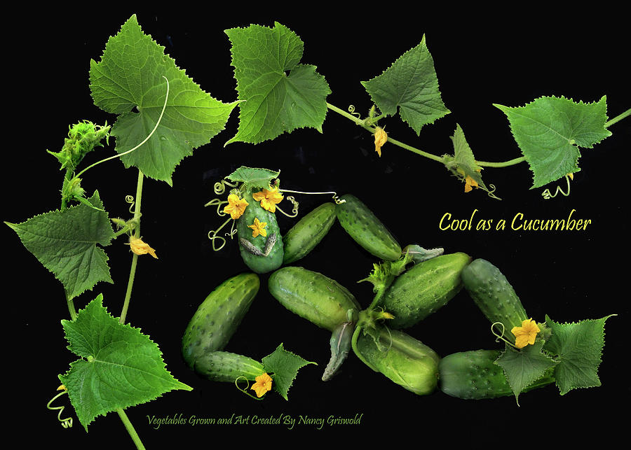 Cool As A Cucumber Digital Art by Nancy Griswold