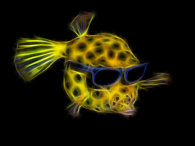 Cool Baby Box Fish Fractalized Digital Art by Gary Hughes