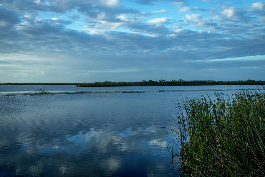 Cool Blue Everglades Photograph by Blair Damson