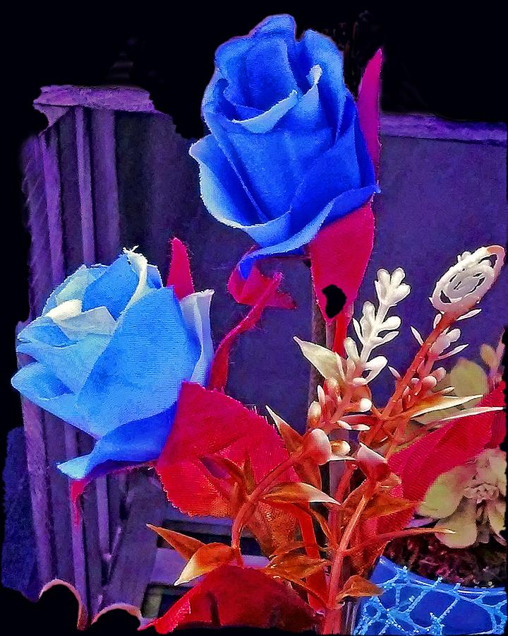 Cool Blue Roses Photograph by Andrew Lawrence