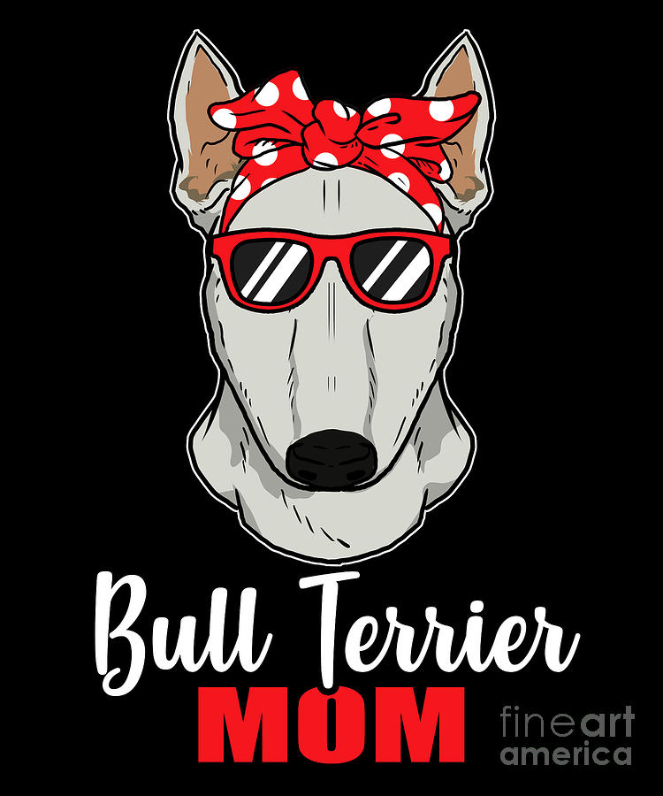 bull terrier lovers