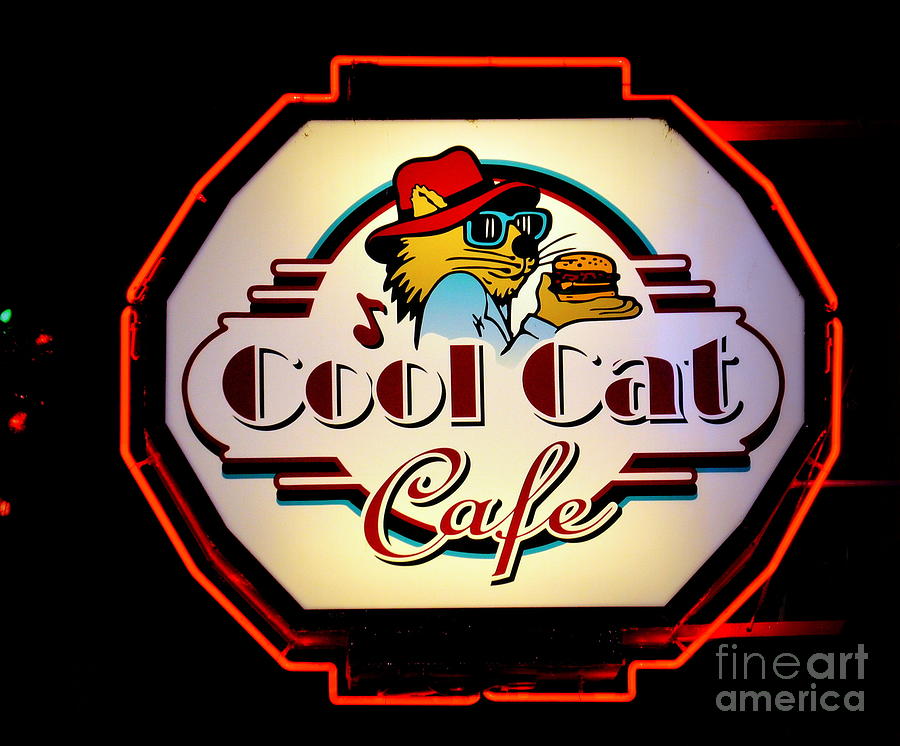 Cool Cat Cafe Photograph by Tru Waters