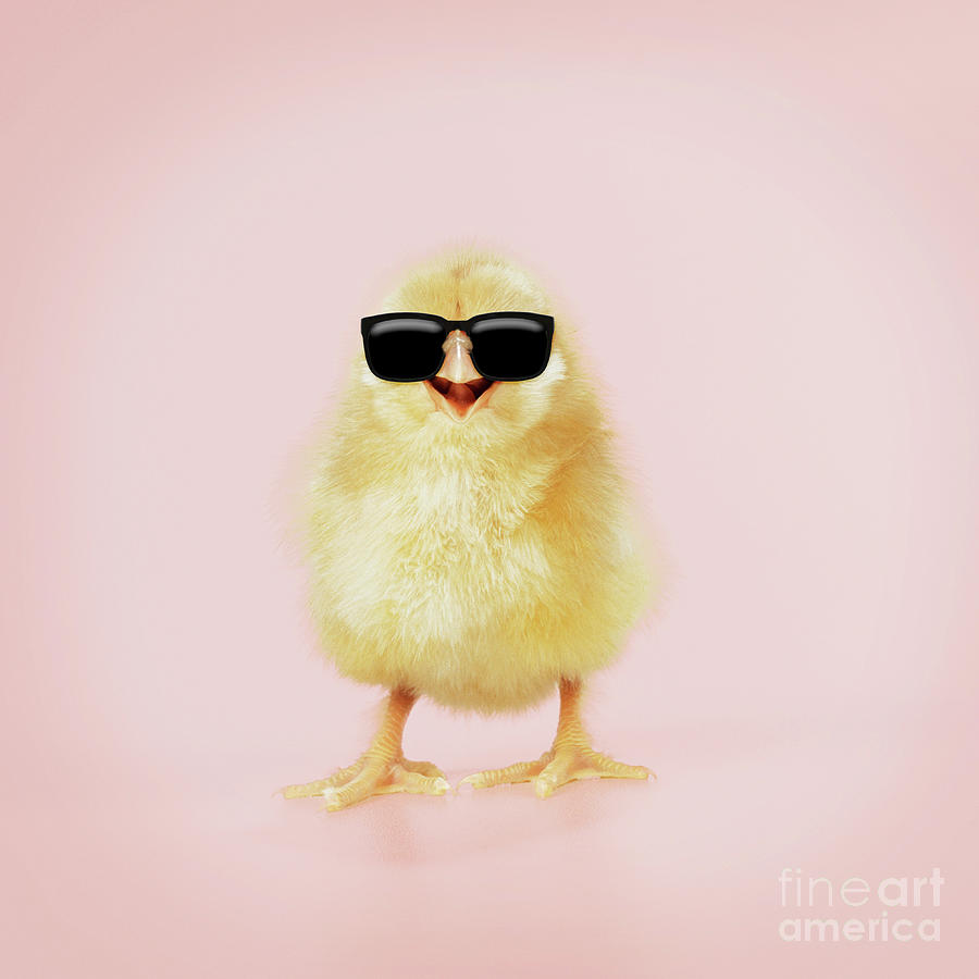 Cool Chick Wearing Sunglasses Smiling Photograph By John Daniels Pixels