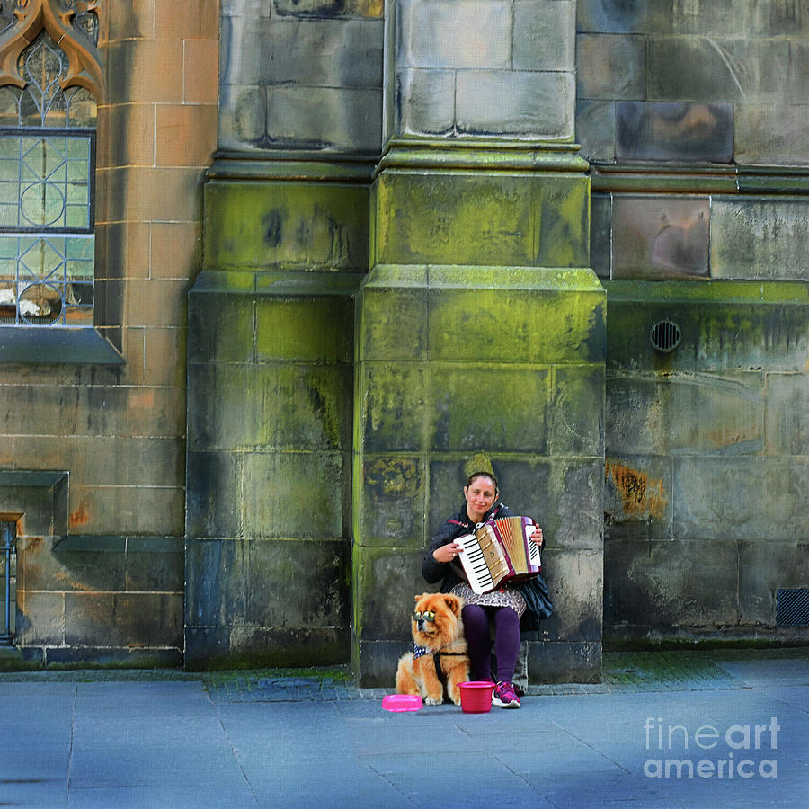 Cool Chow Chow and Street Performer Photograph by Yvonne Johnstone