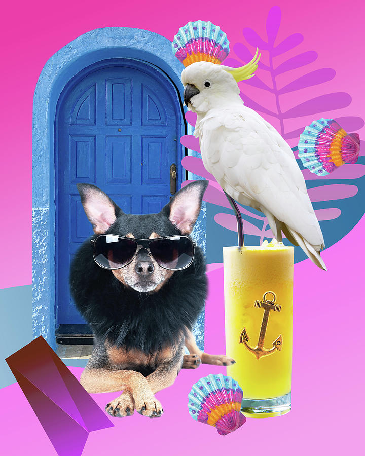 Cool Dog and Cockatoo Collage Digital Art by Judi Hall