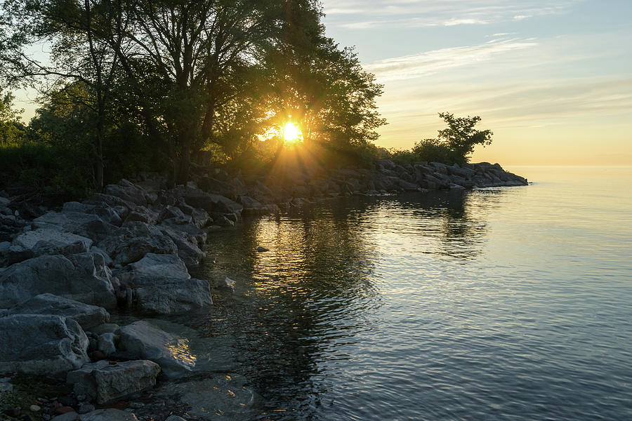 Cool Heat - Golden Summertime Sunburst on Lake Ontario in Toronto Photograph by Georgia Mizuleva