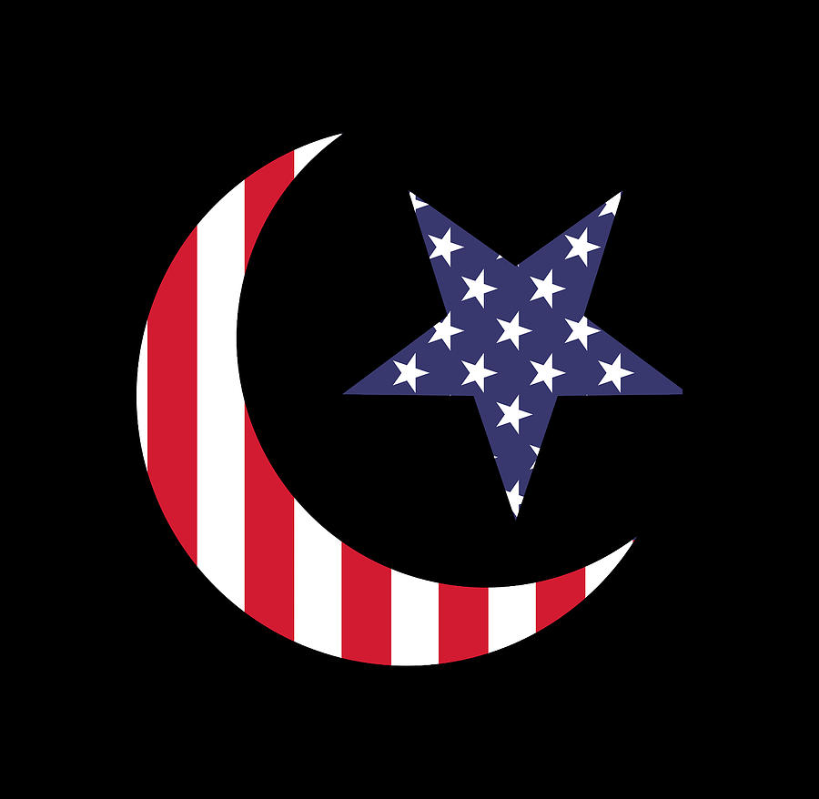 Cool Islam Moon Star American USA Flag Painting by Tony Rubino