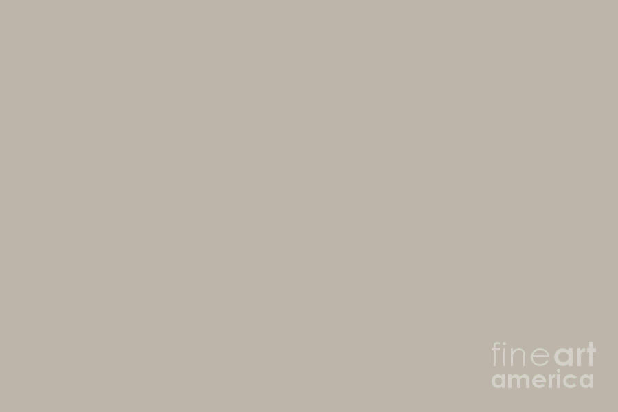 Cool Neutral Light Pastel Beige  Solid Color Digital Art by PIPA Fine Art - Simply Solid