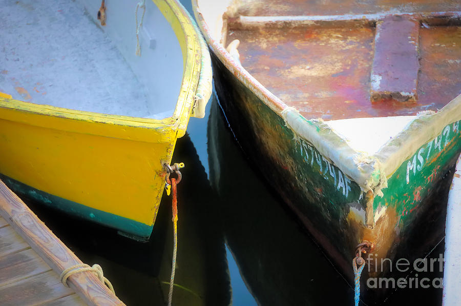 Cool old skiffs Photograph by Janice Drew