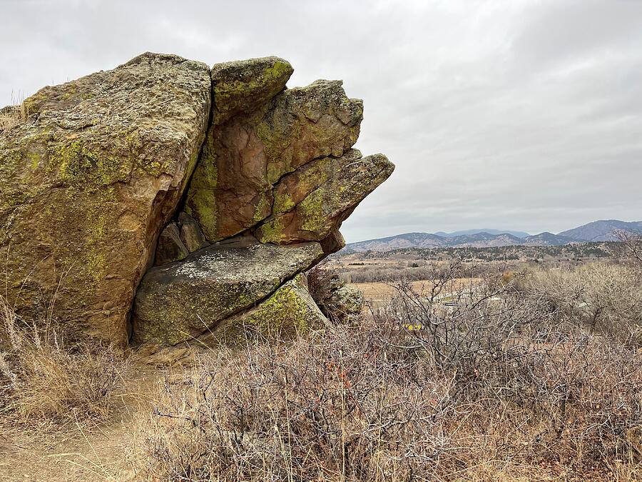 Cool Rock Photograph by Christy Pooschke