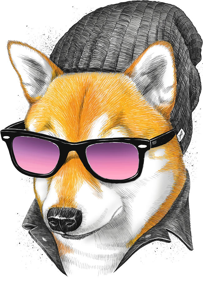 Cool Shiba inu boy Painting by Yasmine Patel | Fine Art America