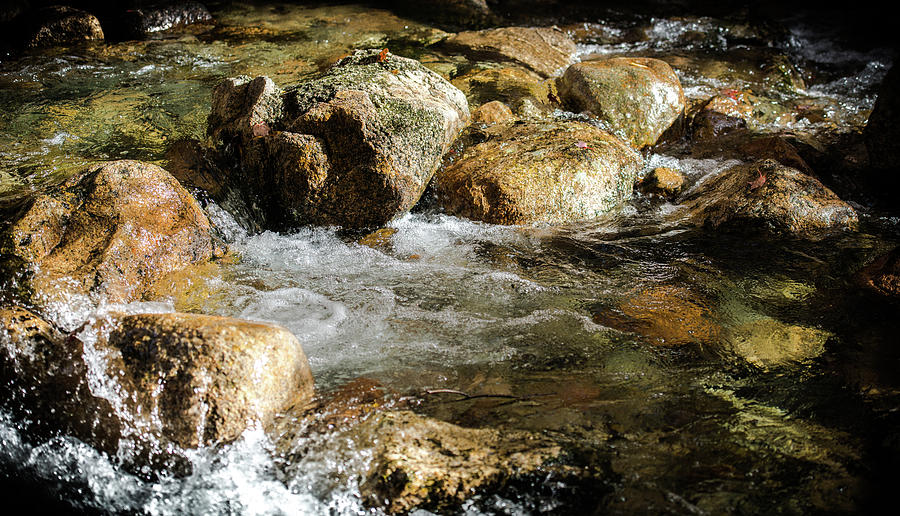 Cool Waters Photograph