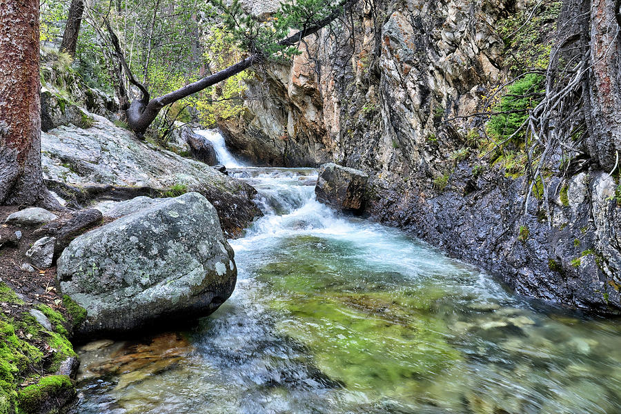 Cool Waters Salida Colorado Photograph by JC Findley