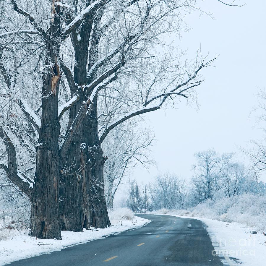 Cool Winter Blue Landscape Photograph