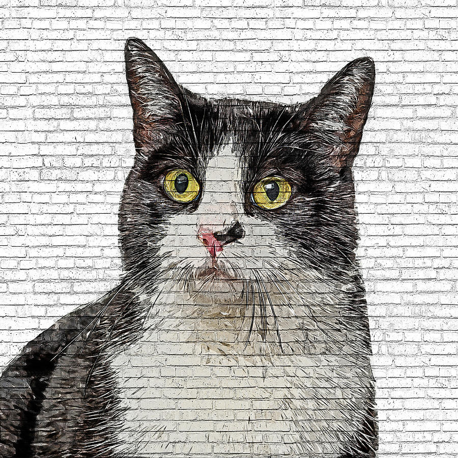 Cooool, Black and White Cat - Brick Block Background Painting by Custom Pet Portrait Art Studio