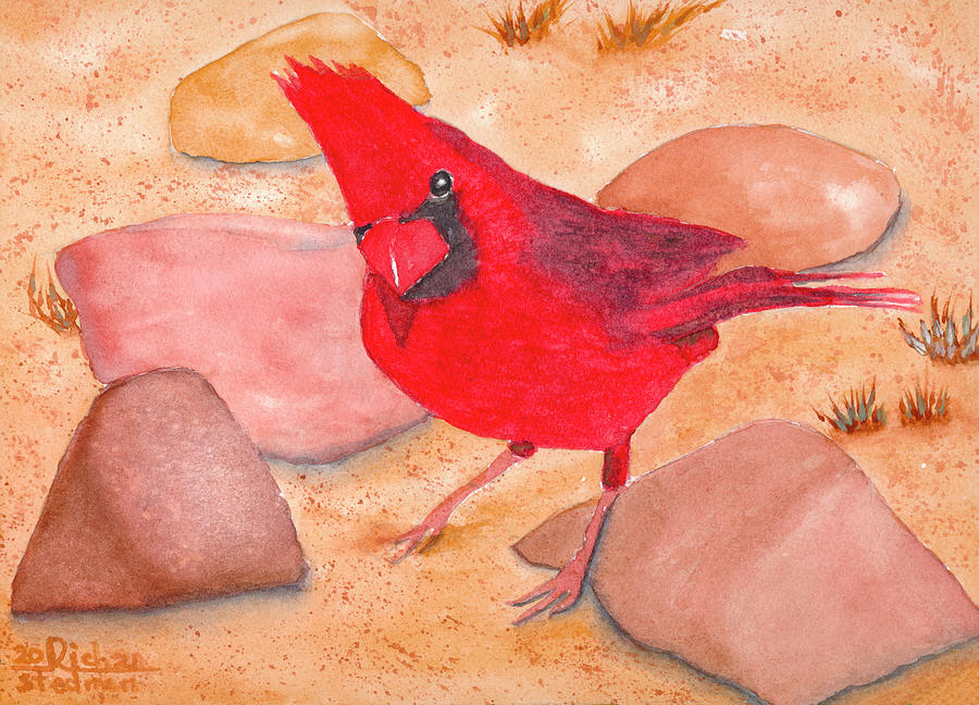Cooper Cardinal Painting by Richard Stedman