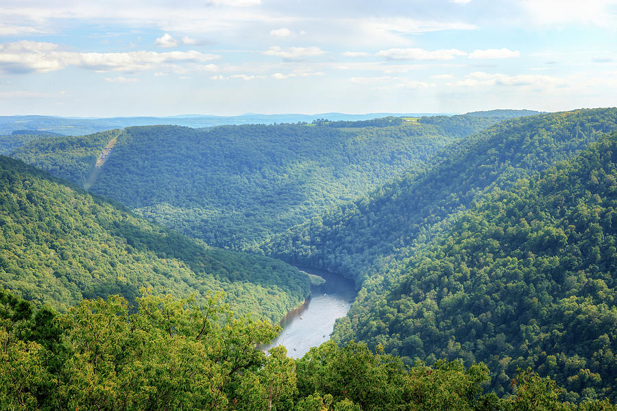Coopers Rock - Cheat River Gorge Photograph by Susan Rissi Tregoning