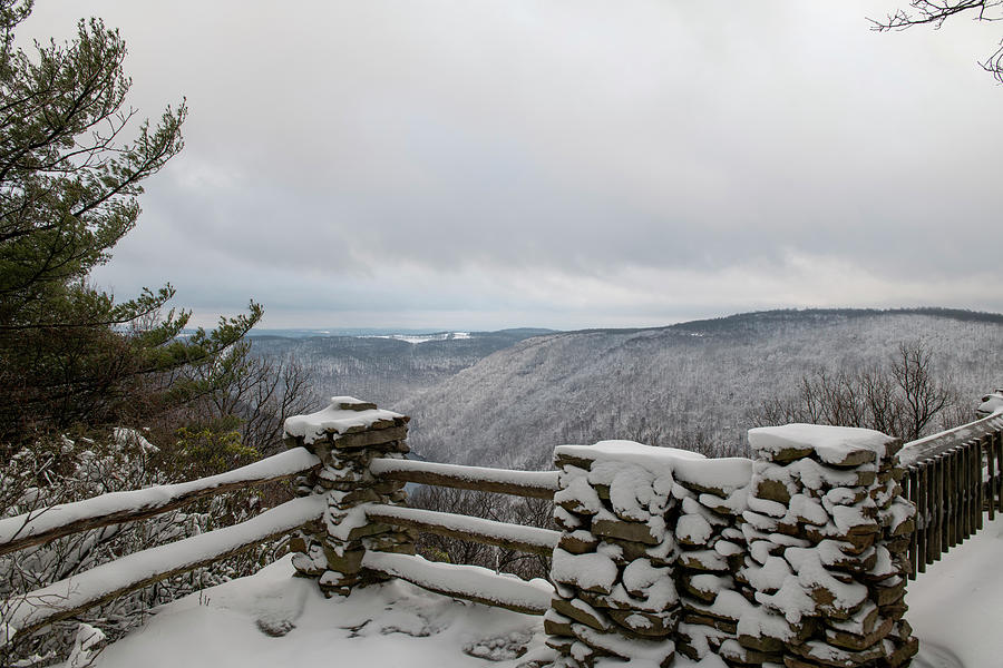 Coopers Rock overlook in the winter Photograph by Dan Friend