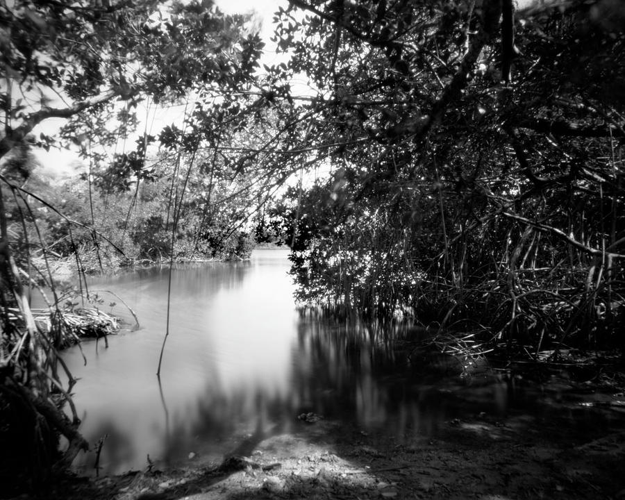 Pinhole Coot Bay pond-1- Everglades Photograph by Rudy Umans