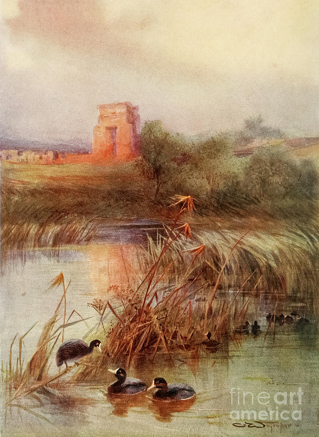 COOT The Sacred Lake, Karnak l2 Drawing by Historic Illustrations ...