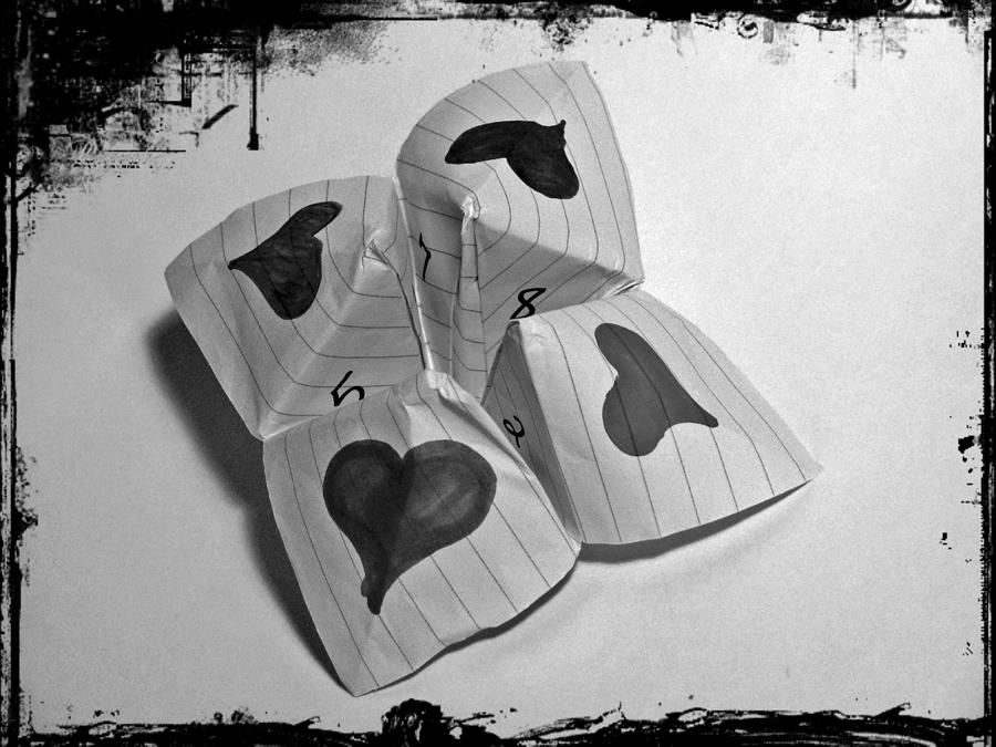 Cootie Catcher Photograph by Susan Thompson Photography