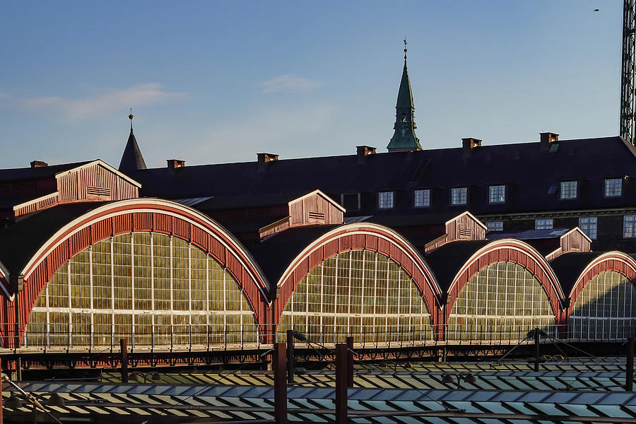 Copenhagen Central Station Photograph by Alexander Farnsworth