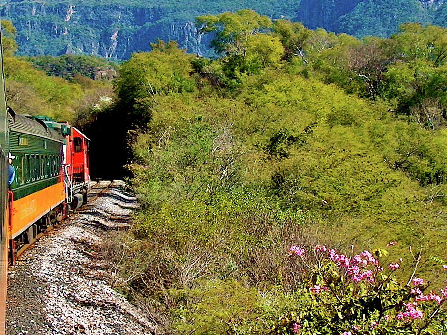 Copper Canyon Train going Into a Tunnel in Sinaloa, Mexico Photograph by Ruth Hager