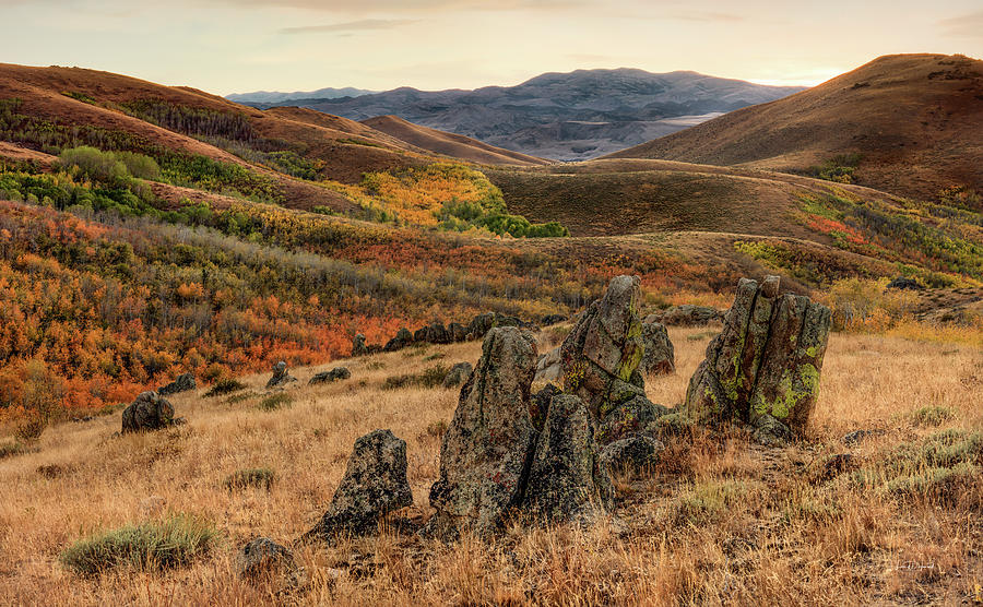 Copper Mountains Nevada Autumn 3 Photograph by Leland D Howard