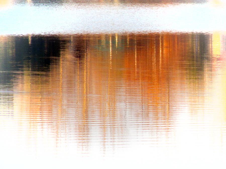Copper reflections Photograph by Vesna Martinjak