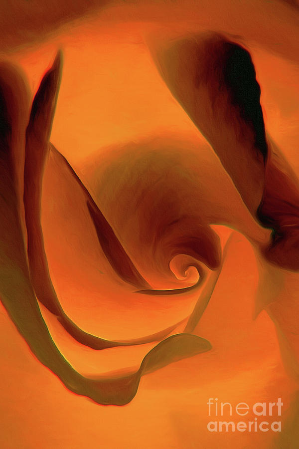 Copper Rose Art Photograph by Scott Cameron