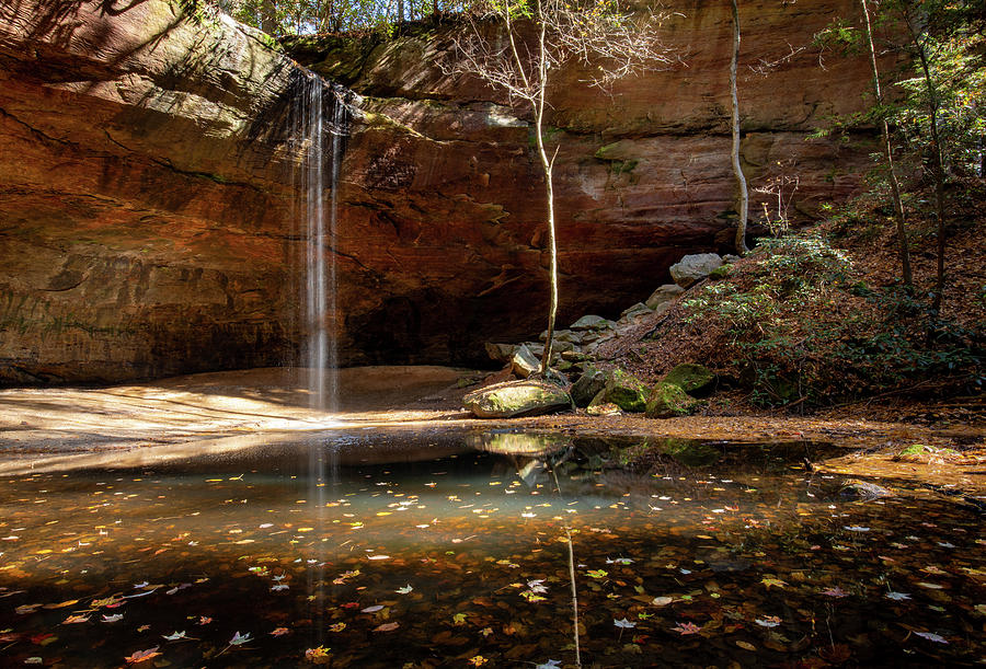 Copperas Falls in Red River Gorge Photograph by Nedim Slijepcevic