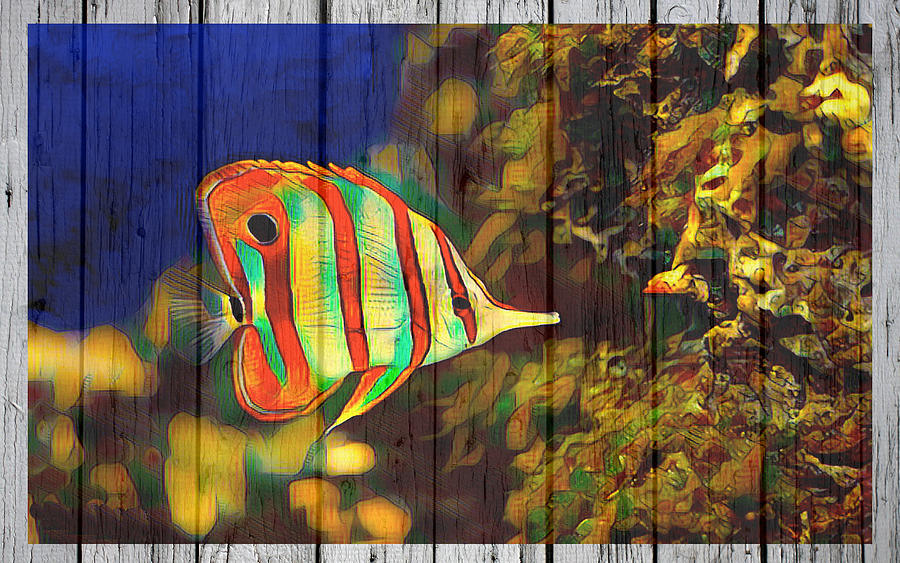 Copperband Butterfly Fish Digital Art by Steven Parker