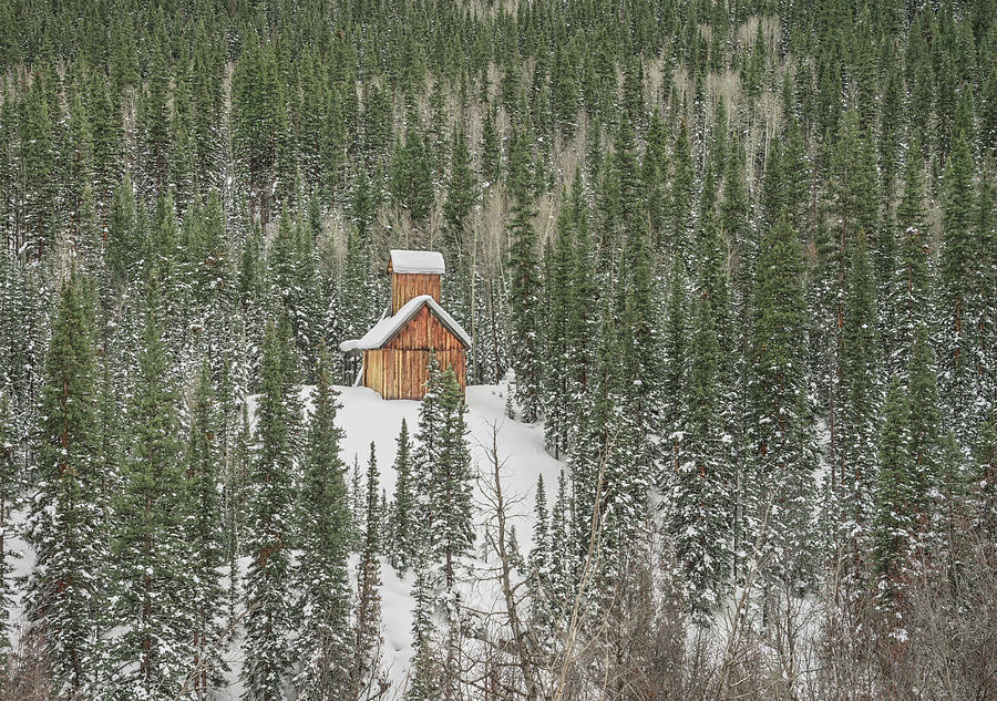 Coppiced Timber Was Used To Construct The Cabin. San Juan National Forest, Southern Colordao Photograph by Bijan Pirnia