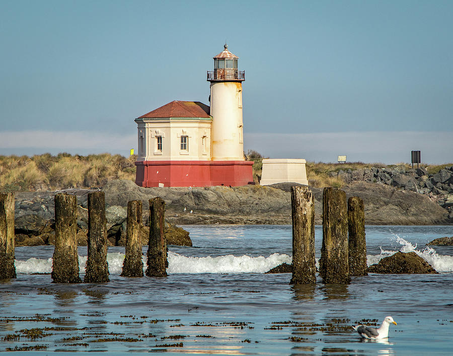 Coquille River Lighthouse and Gull Photograph by Gerri Bigler