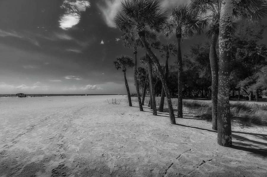 Coquina Beach in Black and  White Photograph by ARTtography by David Bruce Kawchak
