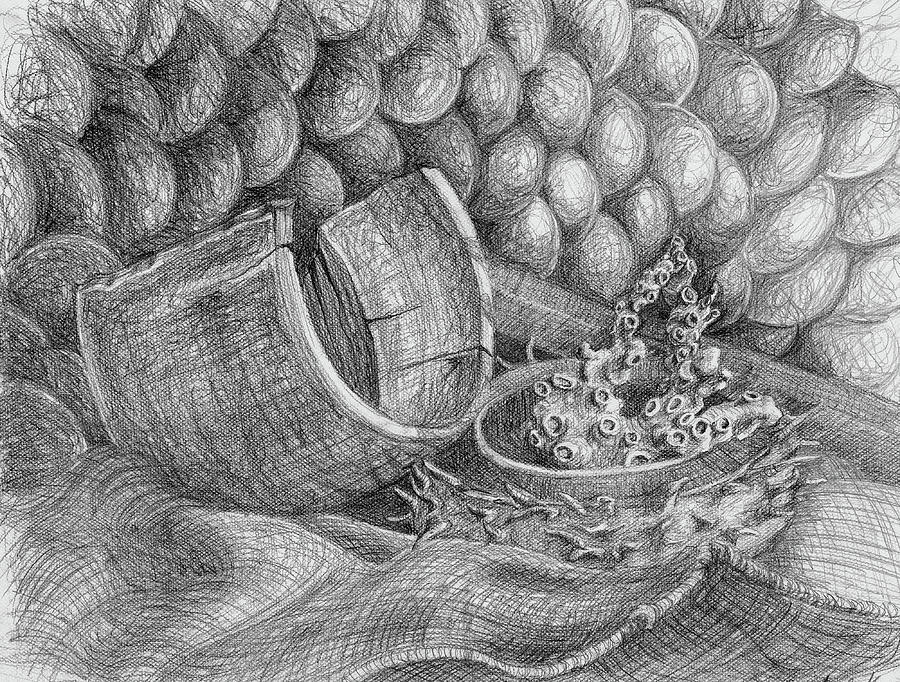Coral and Eggs Drawing by Ashley Kujan