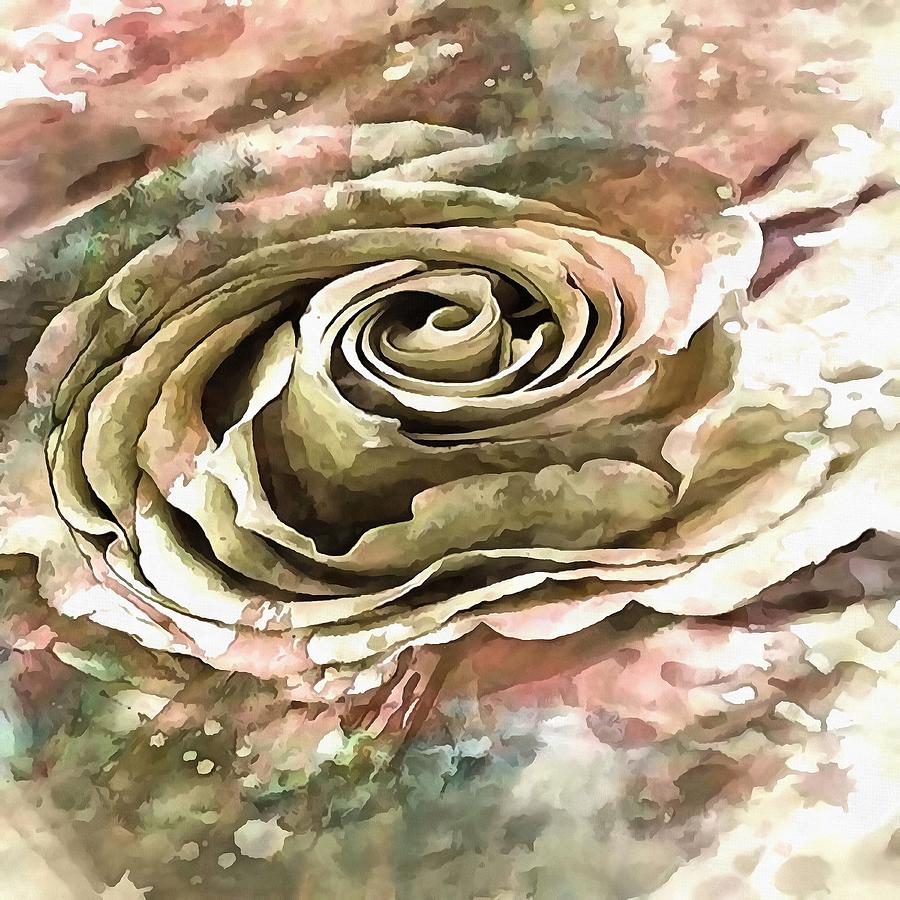 Coral and Grey Greige Artistic Romantic Rose Painting by Taiche Acrylic Art