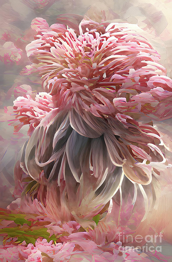 Coral Chrysanthemum Digital Art by Elaine Manley