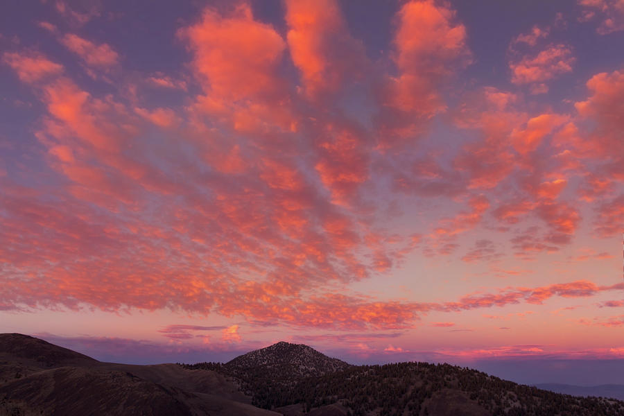 Coral Clouds above Bristlecone Mountains  Photograph by Kathleen Bishop