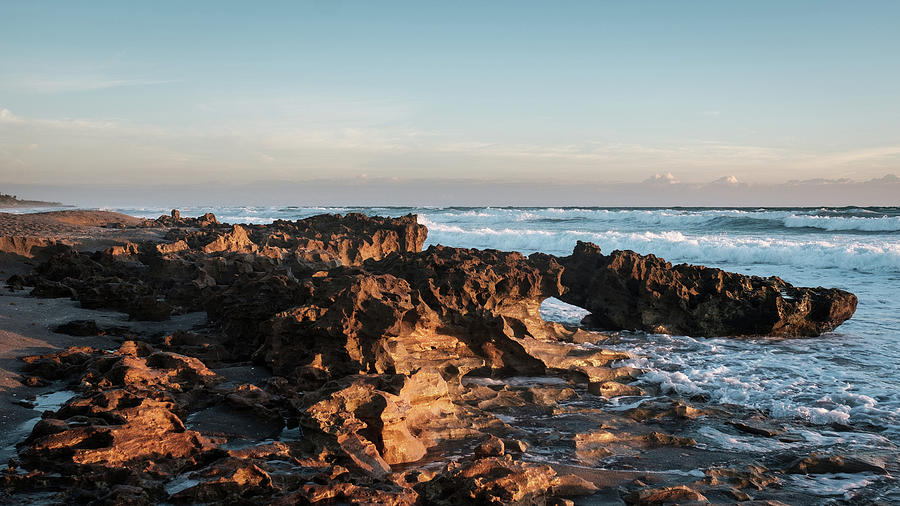 Coral Cove Park Fl Photograph By Jon Tyler Webb Fine Art America