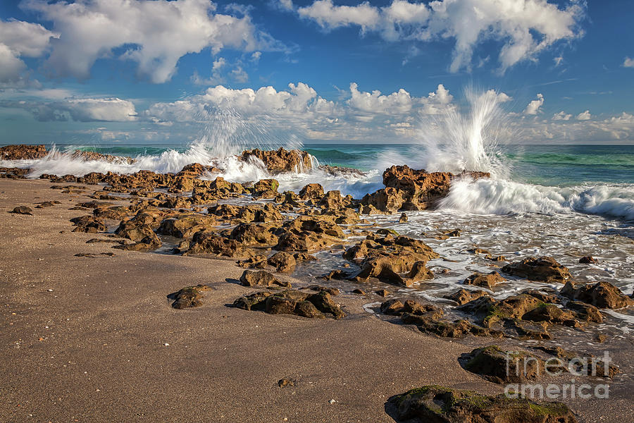 Coral Cove Park Waves Photograph by Maria Struss Photography