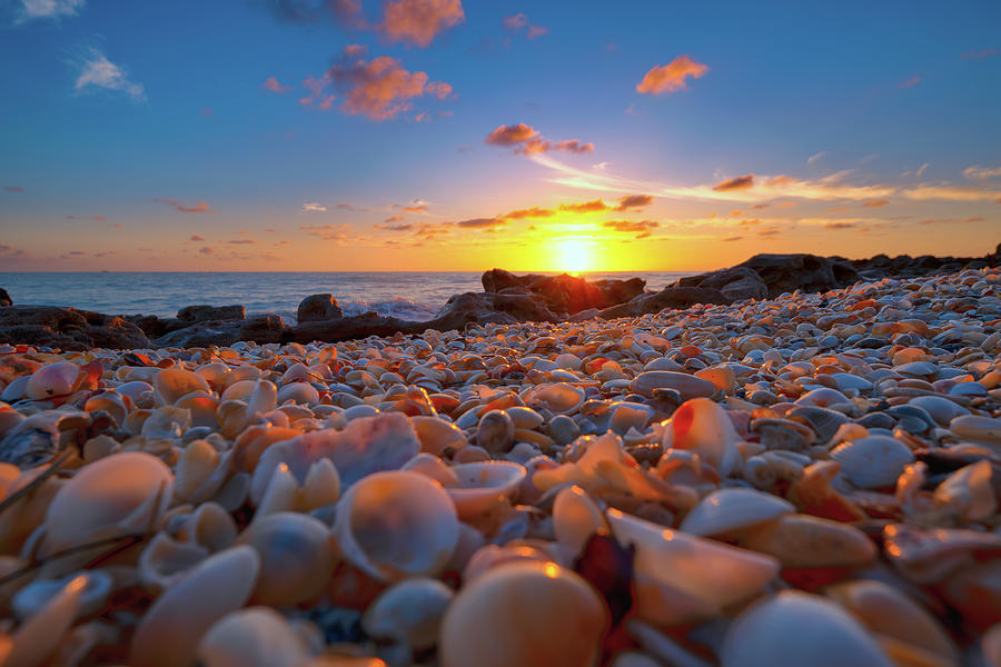 Coral Cove Sunrise Splendor Photograph by Kim Seng