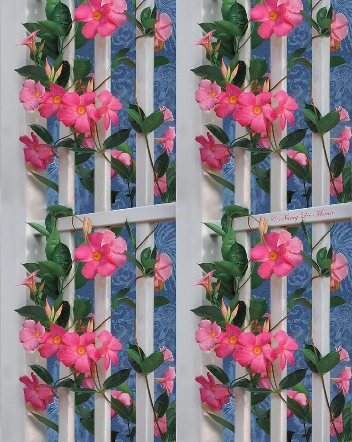 Coral Mandevilla Flowers on Trellis with Blue Tie Dye Mixed Media by Nancy Lee Moran