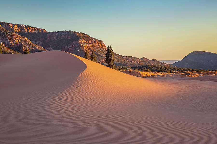 Coral Pink Sand Dunes at Sunset Photograph by Marc Crumpler