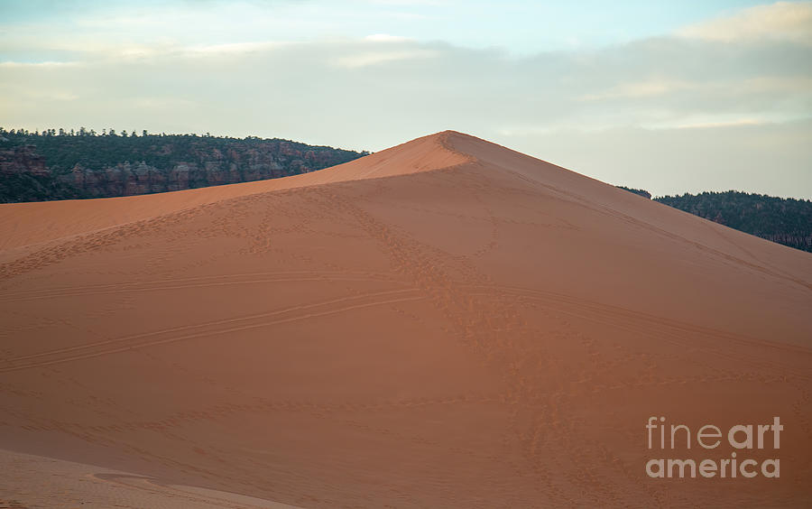 Coral Pink Sand Dunes Photograph - Coral Pink Sand Dunes  D0854 by Stephen Parker