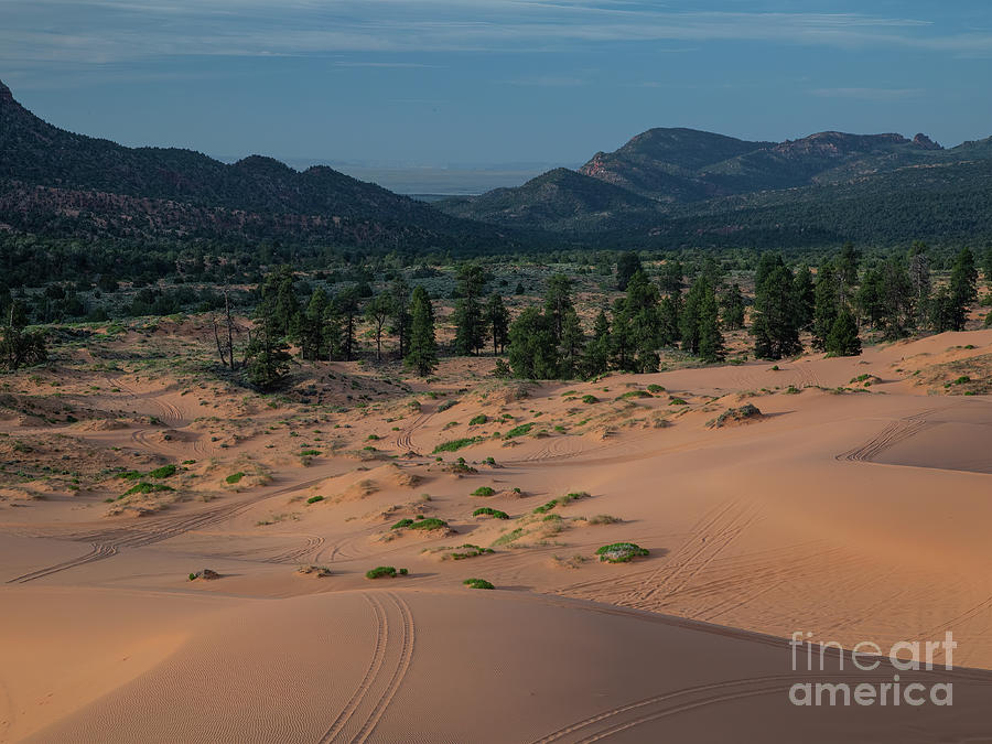 Coral Pink Sand Dunes Photograph - Coral Pink Sand Dunes  D0883 by Stephen Parker